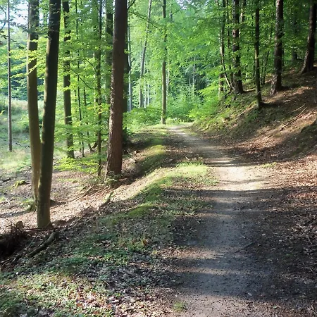 Apartament Nadmorski Las * 格但斯克