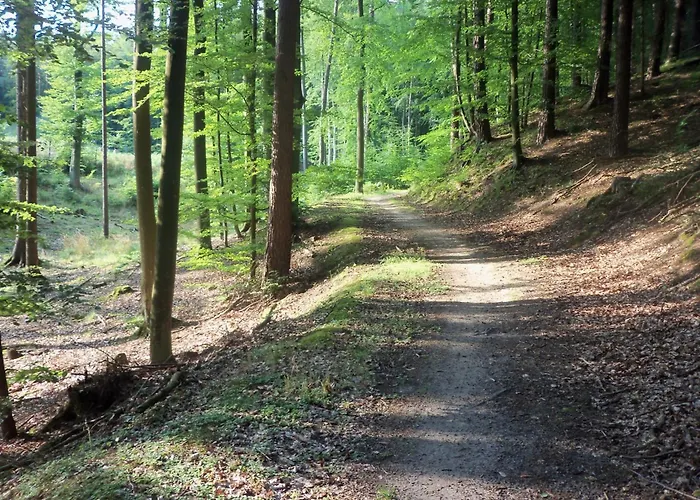 Apartament Nadmorski Las * グダニスク